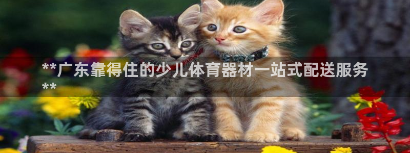 富联申购上市价格预测表：**广东靠得住的少儿体育器材