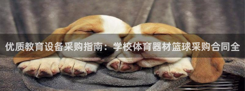 富联官方网站入口：优质教育设备采购指南：学校体育器材