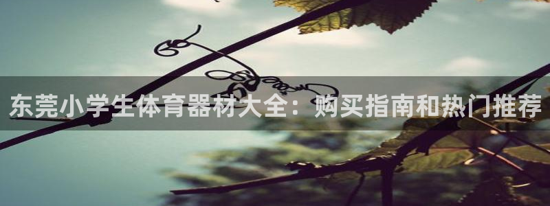 富联娱乐平台开户流程视频：东莞小学生体育器材大全：购