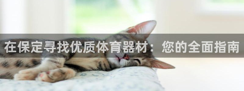富联娱乐测速怎么样：在保定寻找优质体育器材：您的全面