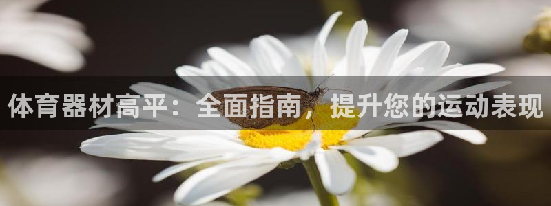 富联娱乐客户端app下载服务器异常怎么回事：体育器材