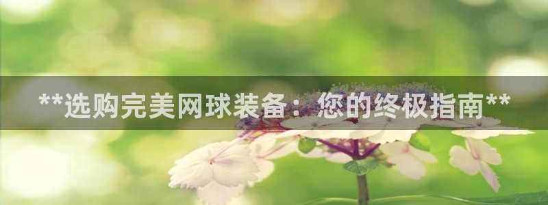 富联平台总代理电话：**选购完美网球装备：您的终极指