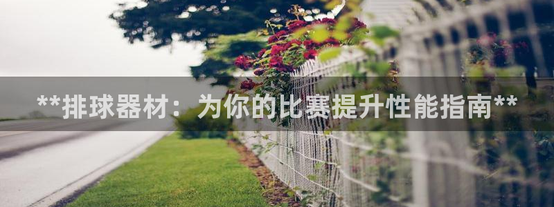 富联官网登陆：**排球器材：为你的比赛提升性能指南*