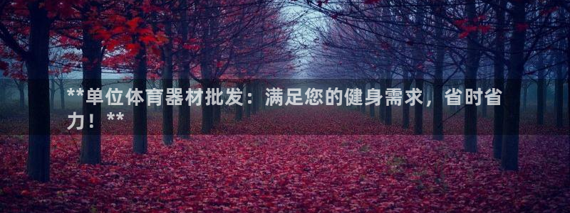 富联娱乐律7O777：**单位体育器材批发：满足您的
