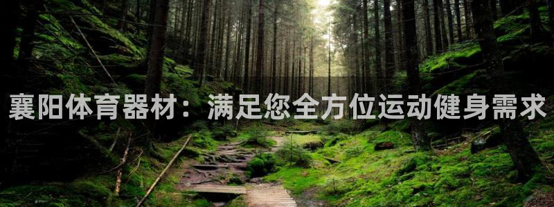 富联地产怎么样可靠吗：襄阳体育器材：满足您全方位运动