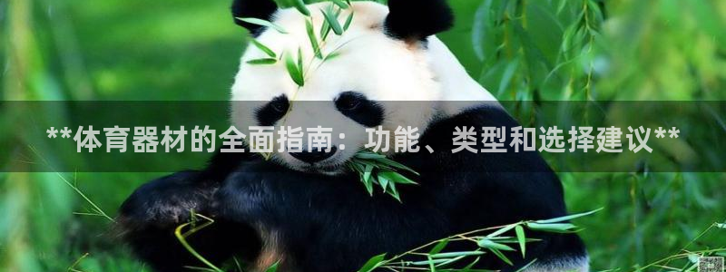 富联平台登陆：**体育器材的全面指南：功能、类型和选