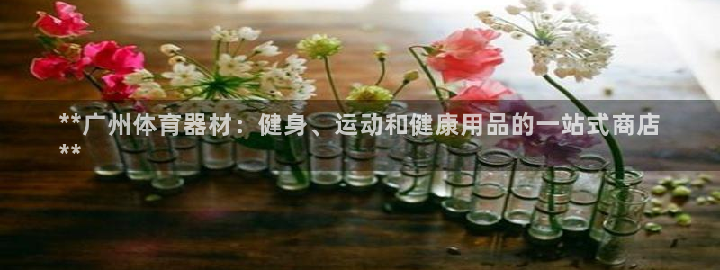 富联平台登录注册流程：**广州体育器材：健身、运动和