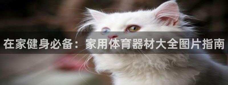 富联平台登录入口官网：在家健身必备：家用体育器材大全