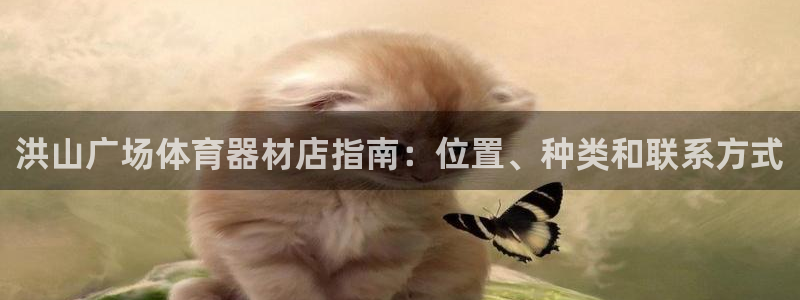 富联娱乐价7O777：洪山广场体育器材店指南：位置、