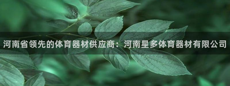 富联娱乐玩法机制是什么：河南省领先的体育器材供应商：