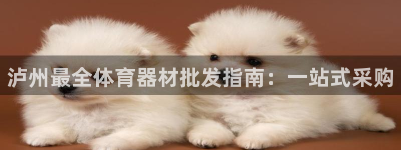 富联娱乐平台开户流程视频：泸州最全体育器材批发指南：