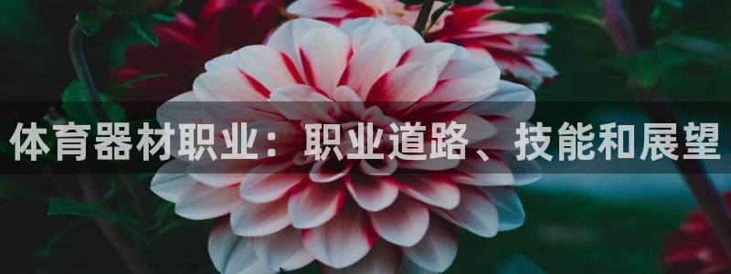 富联娱乐是资金盘吗：体育器材职业：职业道路、技能和展