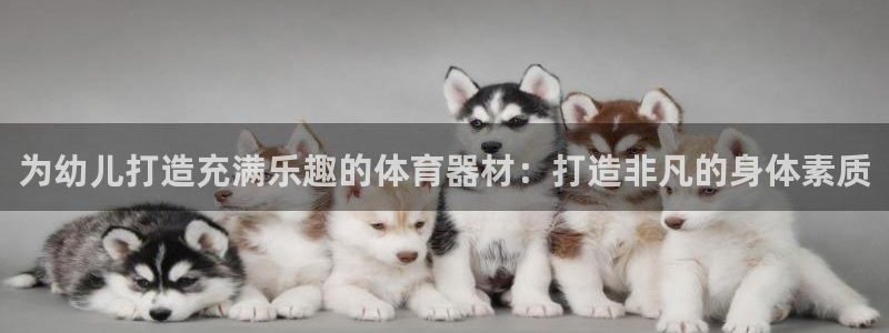 富联娱乐登录注册不了：为幼儿打造充满乐趣的体育器材：