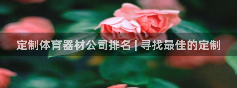 富联申购上市价格预测最新：定制体育器材公司排名 | 