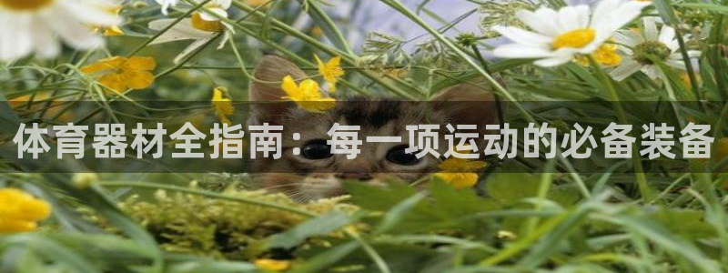 富联平台推 5O6917 富联：体育器材全指南：每一