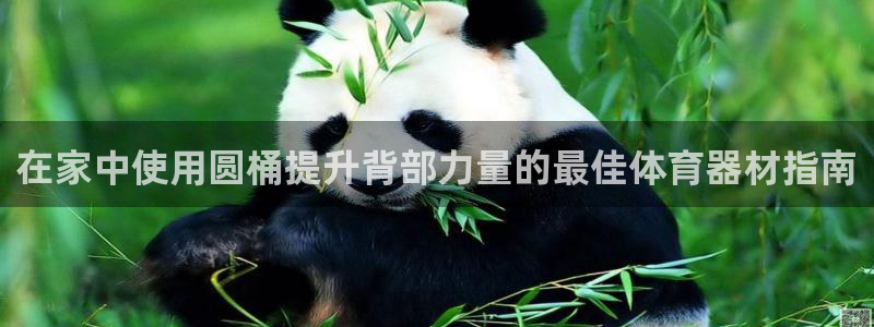 富联娱乐平台是什么软件：在家中使用圆桶提升背部力量的