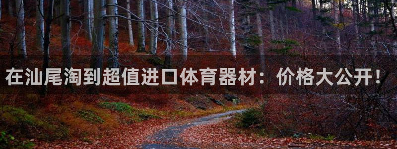 富联娱乐正规吗安全吗：在汕尾淘到超值进口体育器材：价