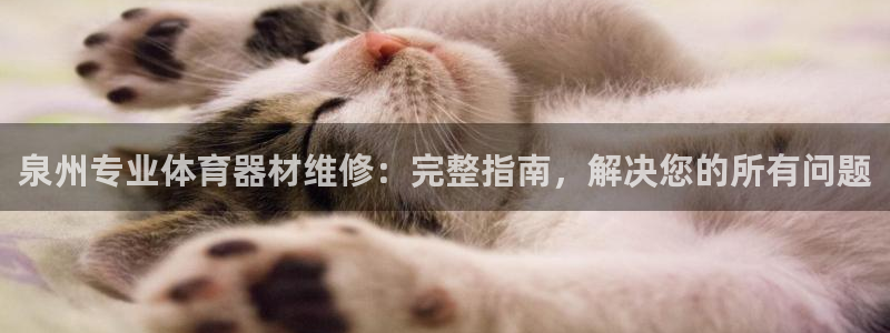 富联小区：泉州专业体育器材维修：完整指南，解决您的所