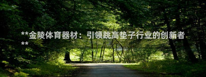 富联工坊：**金陵体育器材：引领跳高垫子行业的创新者