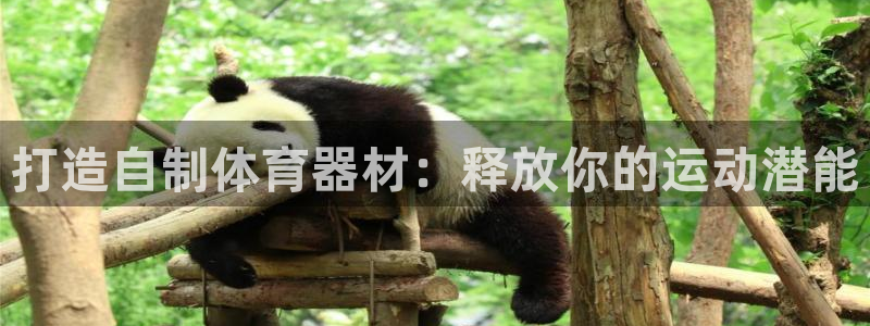 富联官方网站下载安装：打造自制体育器材：释放你的运动