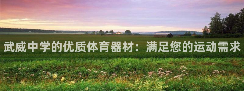 富联申购何时上市：武威中学的优质体育器材：满足您的运