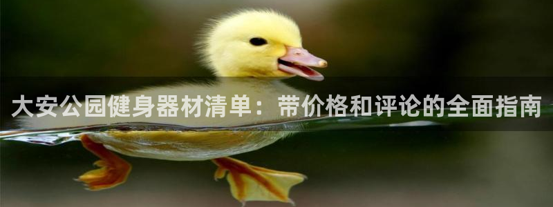 富联娱乐噢 411O31 富联：大安公园健身器材清单