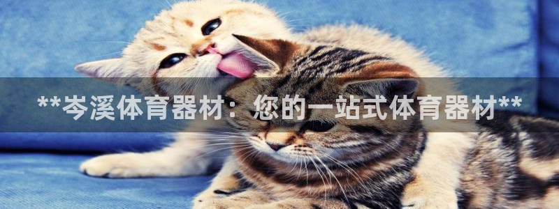 香港富联集团：**岑溪体育器材：您的一站式体育器材*