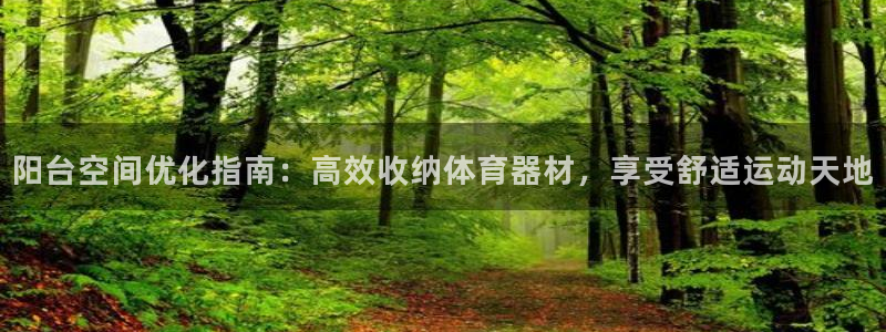 富联平台登入：阳台空间优化指南：高效收纳体育器材，享