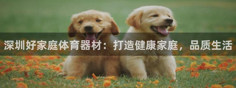 富联娱乐官方网站入口：深圳好家庭体育器材：打造健康家