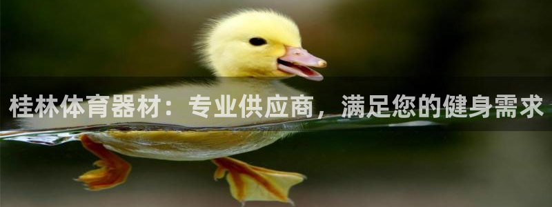 富联娱乐玩法机制