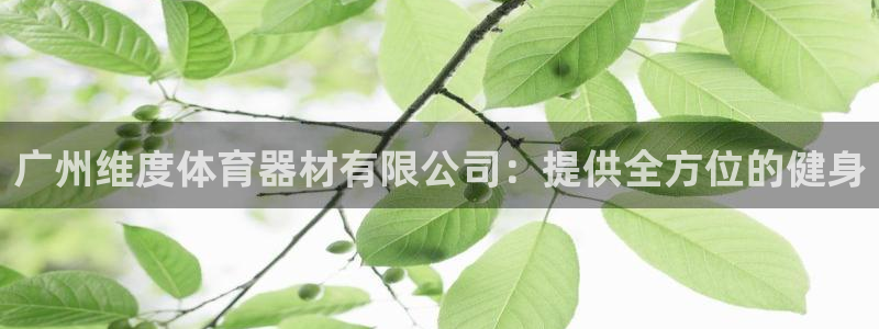 富联娱乐在线注册链接怎么弄：广州维度体育器材有限公司
