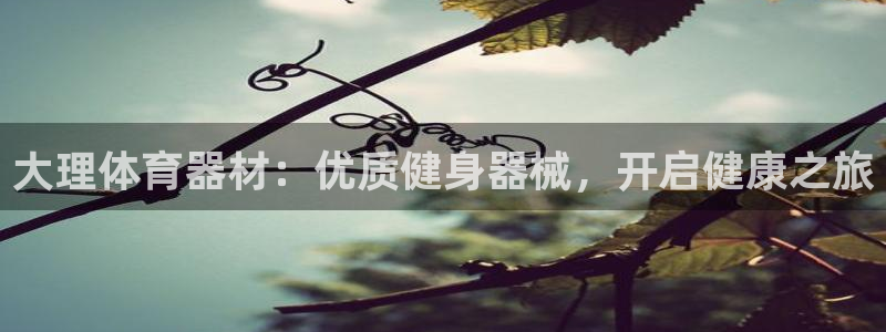 富联娱乐是什么时候开的股票：大理体育器材：优质健身器