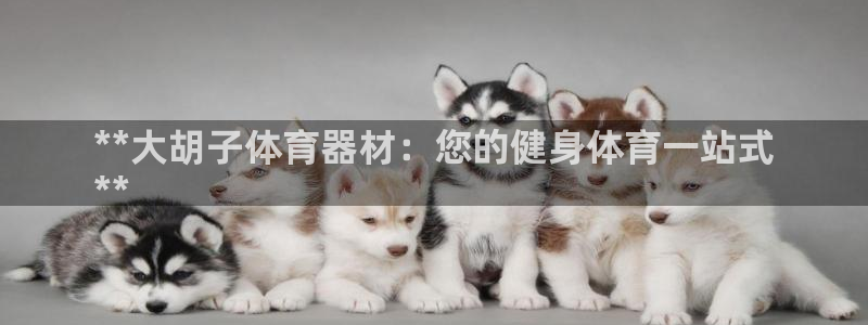 富联娱乐官方网站首页：**大胡子体育器材：您的健身体
