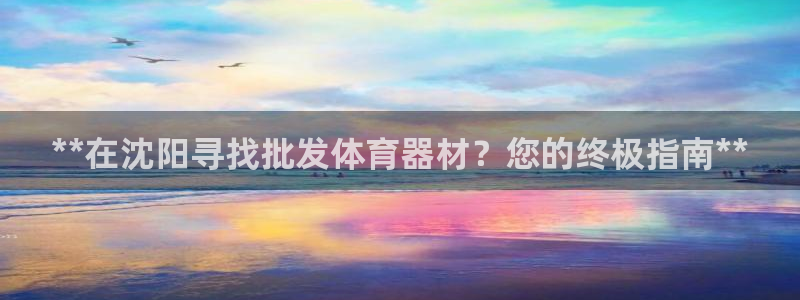 富联平台节7O777：**在沈阳寻找批发体育器材？您