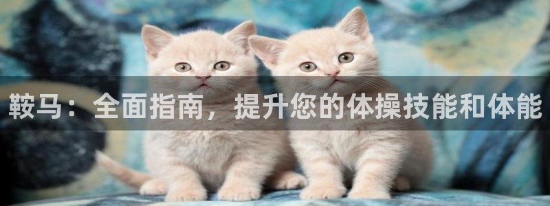 富联官方网站入口下载安卓：鞍马：全面指南，提升您的体