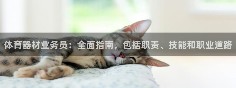 富联娱乐登录注册账号：体育器材业务员：全面指南，包括
