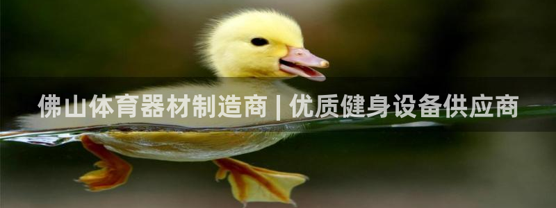 富联官网登录网址：佛山体育器材制造商 | 优质健身设