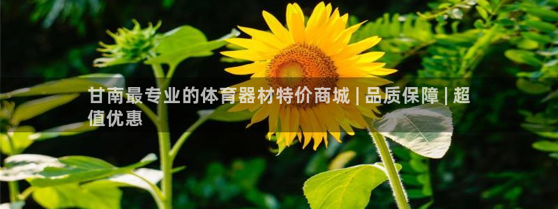 富联娱乐是骗局吗是真的吗：甘南最专业的体育器材特价商