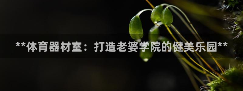 富联娱乐在线注册链接怎么弄：**体育器材室：打造老婆