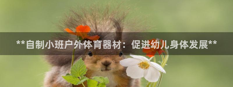 富联娱乐测速登录不上：**自制小班户外体育器材：促进