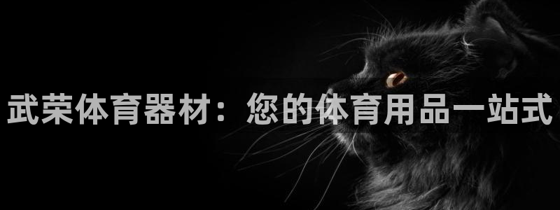 富联平台官网登录：武荣体育器材：您的体育用品一站式