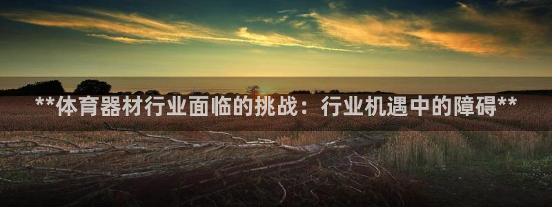 富联平台推 5O6917 富联：**体育器材行业面临的挑战：