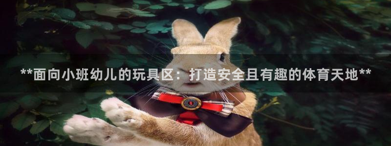 富联娱乐访问：**面向小班幼儿的玩具区：打造安全且有趣的体育