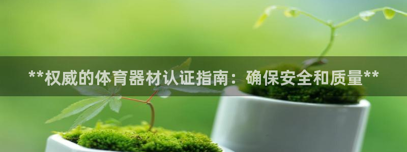 富联娱乐是什么时候开的股票