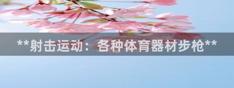 富联平台招商怎么样：**射击运动：各种体育器材步枪**