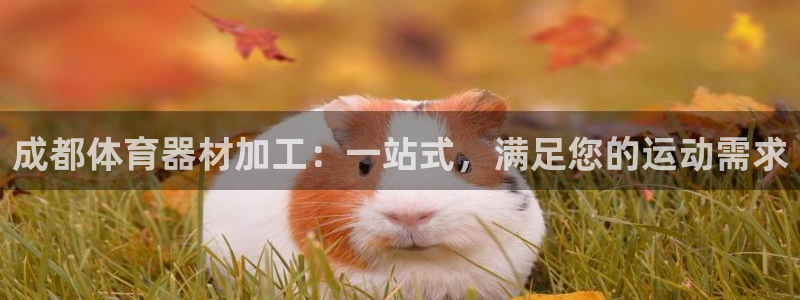 富联娱乐是骗局吗知乎：成都体育器材加工：一站式，满足