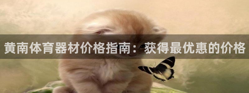 富联平台飞 411o31 富联：黄南体育器材价格指南