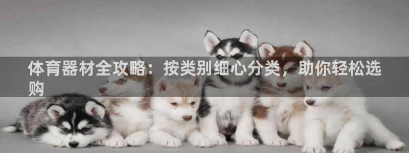 富联平台人 5O6917 富联：体育器材全攻略：按类