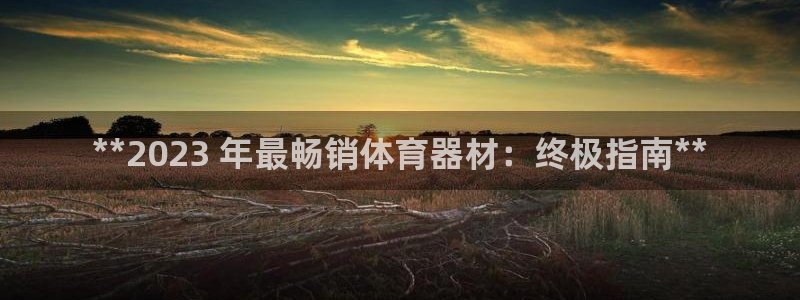 富联娱乐是什么时候开的股票：**2023 年最畅销体