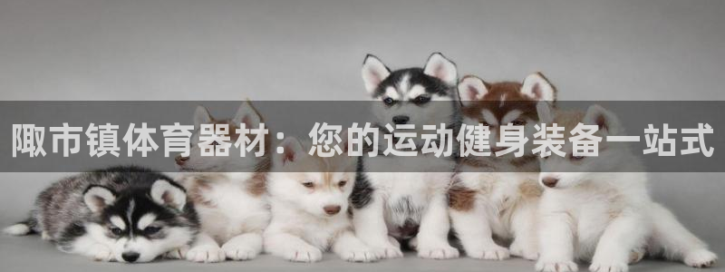 富联平台微信：陬市镇体育器材：您的运动健身装备一站式